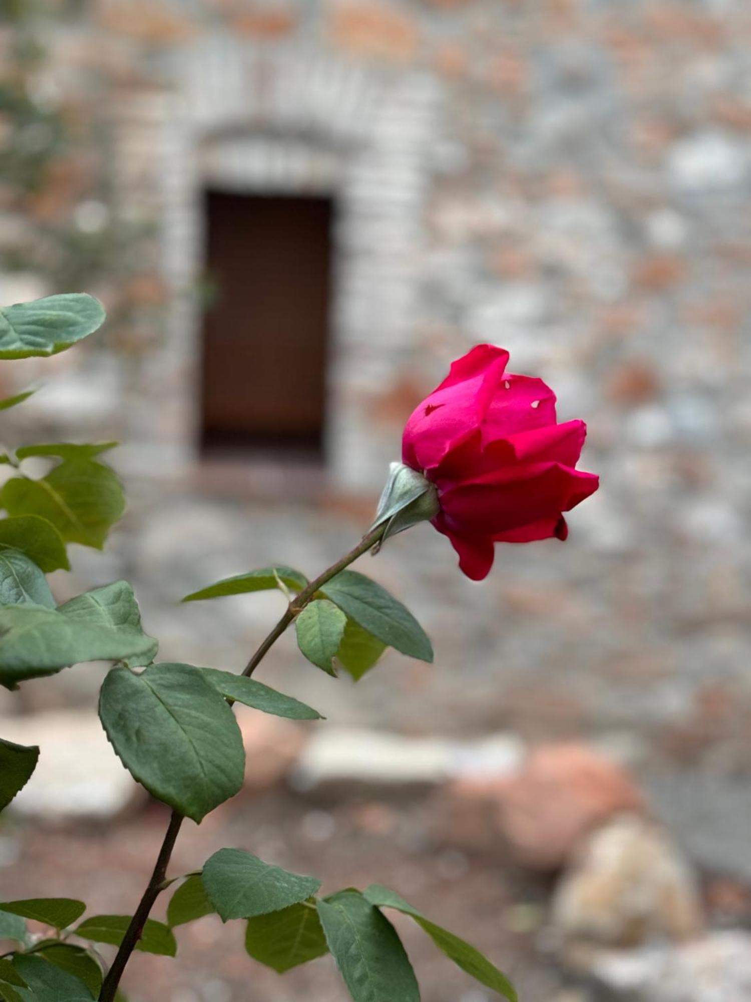 Casa De La Serra Монблан Екстериор снимка